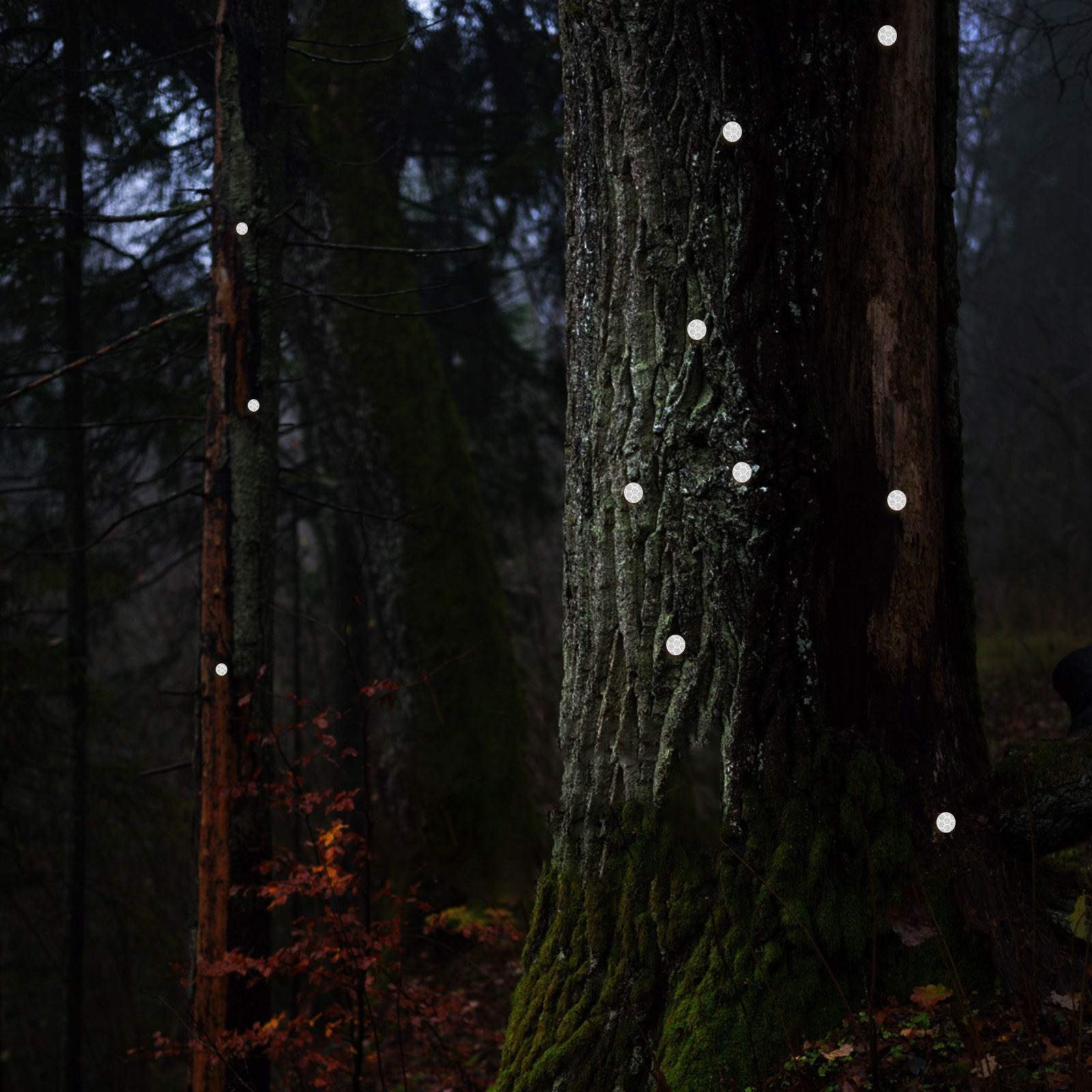 100Pcs Reflective Trail Marker - Outdoor Adventure Hunt recensie en prijs